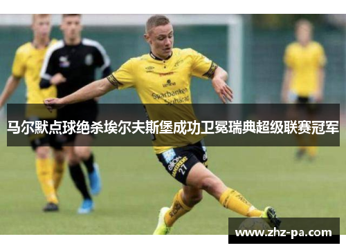 马尔默点球绝杀埃尔夫斯堡成功卫冕瑞典超级联赛冠军 马尔默点球绝杀埃尔夫斯堡成功卫冕瑞典超级联赛冠军